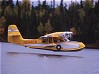 Grumman Widgeon