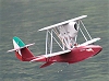Savoia S 21