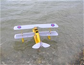 Tiger Moth
